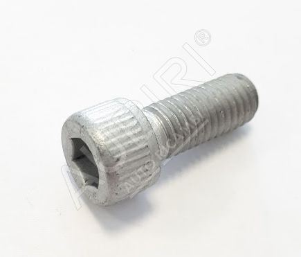 Screw Iveco M10x1.5 x 25 - Allen key