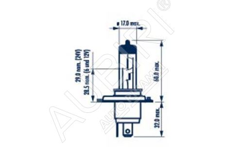 The bulb 12V H4 60/55W