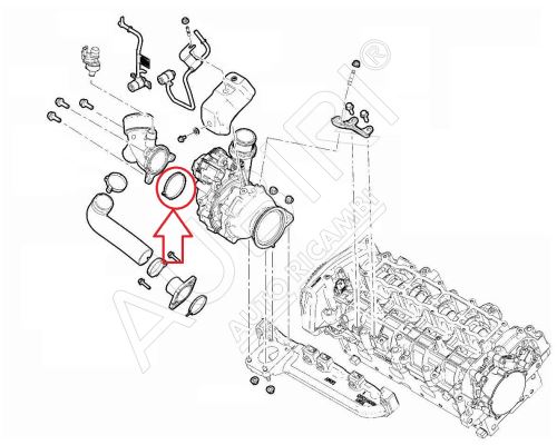 Joint de turbocompresseur Fiat Ducato depuis 2021 2.2D pour collecteur d'échappement