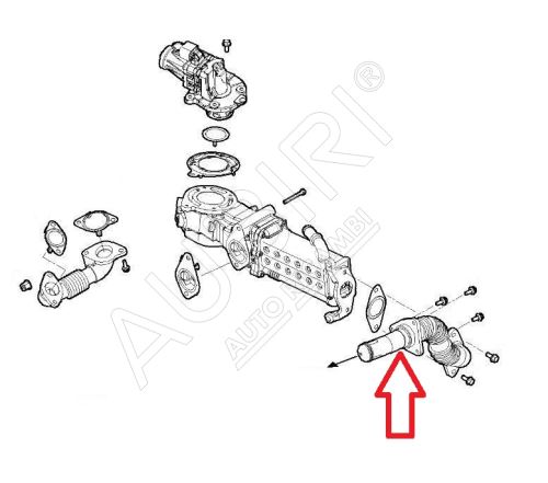 Tube refroidisseur vanne EGR Iveco Daily depuis 2022 2.3D