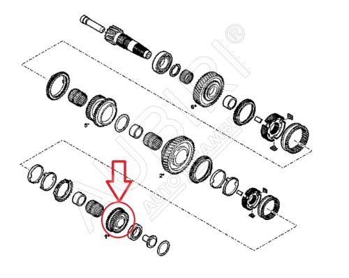 1st gear wheel Fiat Ducato since 2021 2.2D - 13/54 teeth