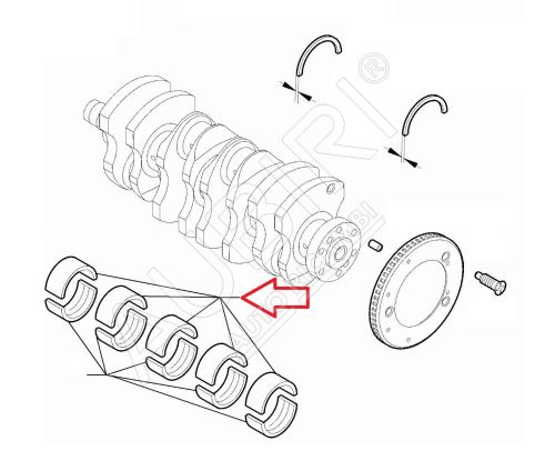 Coussinets de palier principaux BN2 Bleu force 1.835-1.839 Fiat Doblo 2010-2023, Ducato de 2011 2.0/2.2D