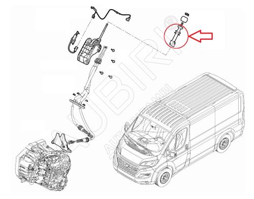 Guidage du levier de vitesse Fiat Ducato depuis 2021