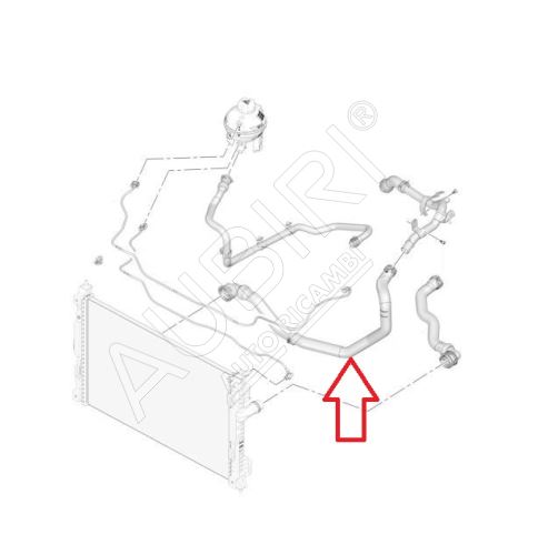 Durite de radiateur d'eau Citroën Berlingo, Partner depuis 2018 1.6 VTi droite