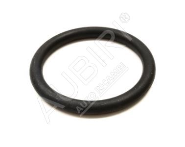 Thermostat O-ring Renault Master 2002-2010, Trafic 2002-2014 2.2/2.5D